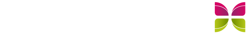 Grafik Metamorphose zum Schmetterling